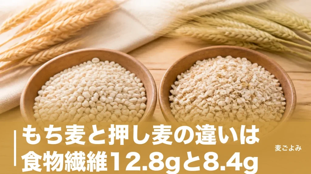 もち麦と押し麦の違いは食物繊維12.8gと8.4g｜デンプンで決まる食感の差のアイキャッチ画像