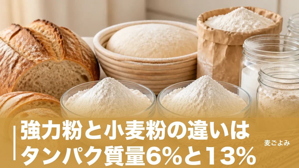 強力粉と小麦粉の違いはタンパク質量6%と13%|グルテンで決まる使い分けの理屈のアイキャッチ画像