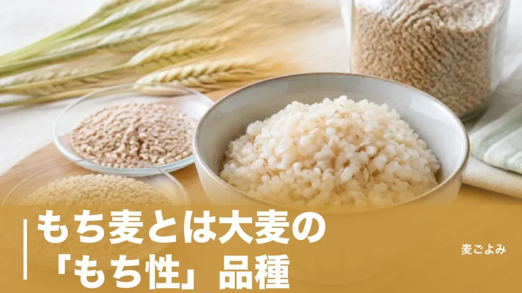 もち麦とは大麦の「もち性」品種｜白米の20倍の食物繊維と1日50gの理由のアイキャッチ画像