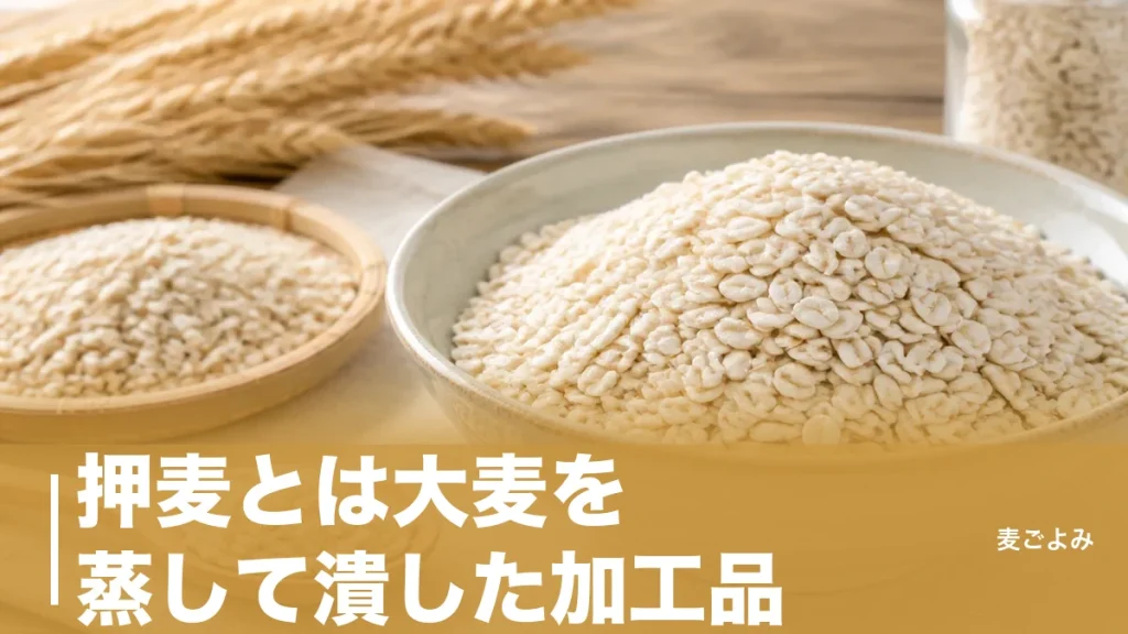 押麦とは大麦を蒸して潰した加工品｜白米の24倍の食物繊維ともち麦との決定的な差のアイキャッチ画像