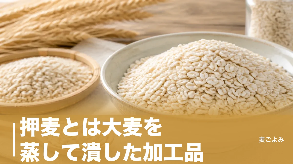 押麦とは大麦を蒸して潰した加工品｜白米の24倍の食物繊維ともち麦との決定的な差のアイキャッチ画像